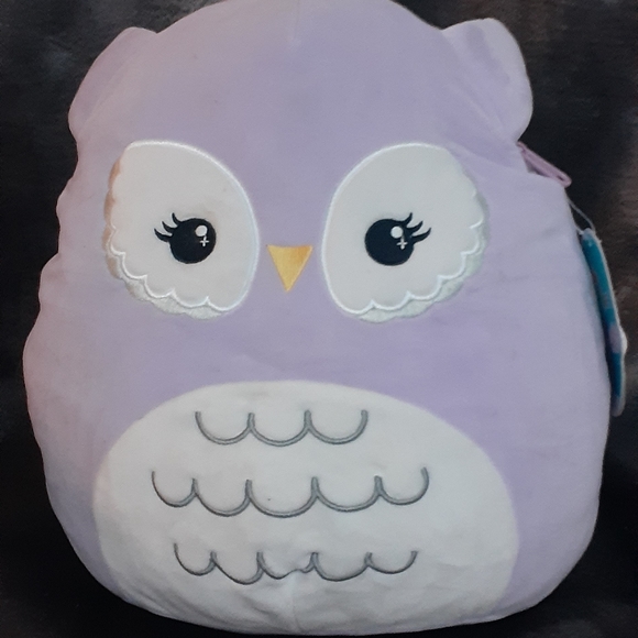 Meet your Posher, Misty - Picture 12 of 16